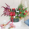 Buy Sugarplum & Spice