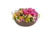 Summer Bowl 250334 Online