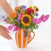 Summer Sunshine Jug Online