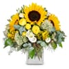 Summerdream Online