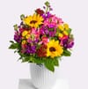 Sunny Greetings Online