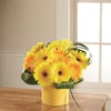 Sunny Surprise Arrangement Online