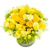 Sunray Online