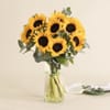 Sunshine Online