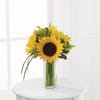 Sunshine Daydream Bouquet Online