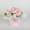 Sweet Gerberas Online