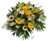 Tenderness Online