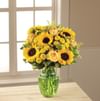 The FTD Daylight Arrangement Online