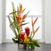 The FTD Island Breeze Arrangement Online