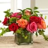 The FTD Lush Life Rose Arrangement Online