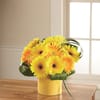 The FTD Sunny Surprise Arrangement Online