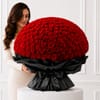 Gift The Grand Love 500 Rose Bouquet