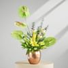 Shop The Green Haven