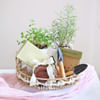 Gift The Little Herb Garden