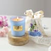 Shop The Petrichor Garden