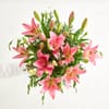 The Pink Lillies Online