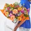 The Pure Colour. Online