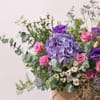Gift The Purple Heirloom