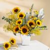 Buy The Sun-Kissed Treat