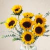 Buy The Sunflower Edit