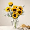 The Sunflower Edit Online
