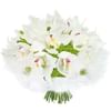 The wonder years bouquet Online