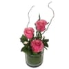 Three Rose Glass Pink Online