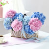 Gift Tranquil Blooms Basket With Tiramisu Cake