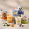 Trio of Scented Candles 150gms - Peach Mandarin, Gardenia Glow & The First Rain