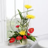 Tropical Arrangement Online
