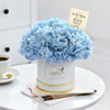 Gift True Blue Love