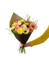 Vibrant 250327 Online