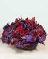 Violet dream Online