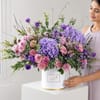 Buy Violet Stardust