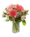 Welcome Online