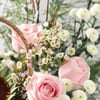 Shop Whispering Willow