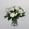 White and Pink Roses Online