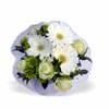 White Bunch SML Online