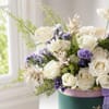 Buy White Splendour