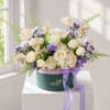 White Splendour Online