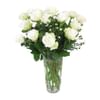 White Velvet Online