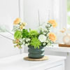 Gift Wildflower Dreams