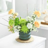 Wildflower Dreams Online