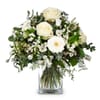 Winter-Beauty Online
