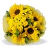 Yellow Bunch LRG Online