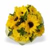 Yellow Bunch MED Online