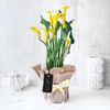 Yellow Calla Lily Potted Plant Gift Online