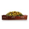 Yellow Coffin Spray Online