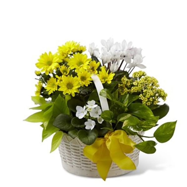 A Bit Of Sushine Basket