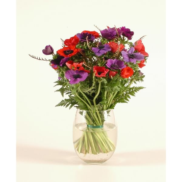 Anemone coronarias bouq